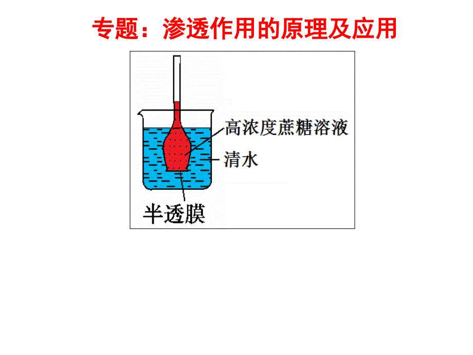 专题_渗透作用的原理和应用_第1页