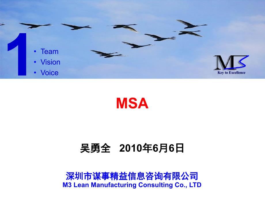 MSA培训(新)_第1页