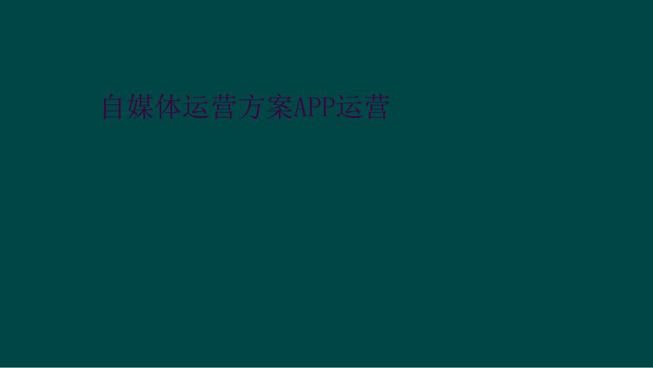 自媒体运营方案APP运营_第1页