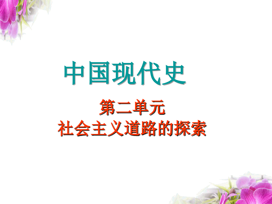 2017中考?xì)v史一輪復(fù)習(xí)社會(huì)主義道路的探索_第1頁