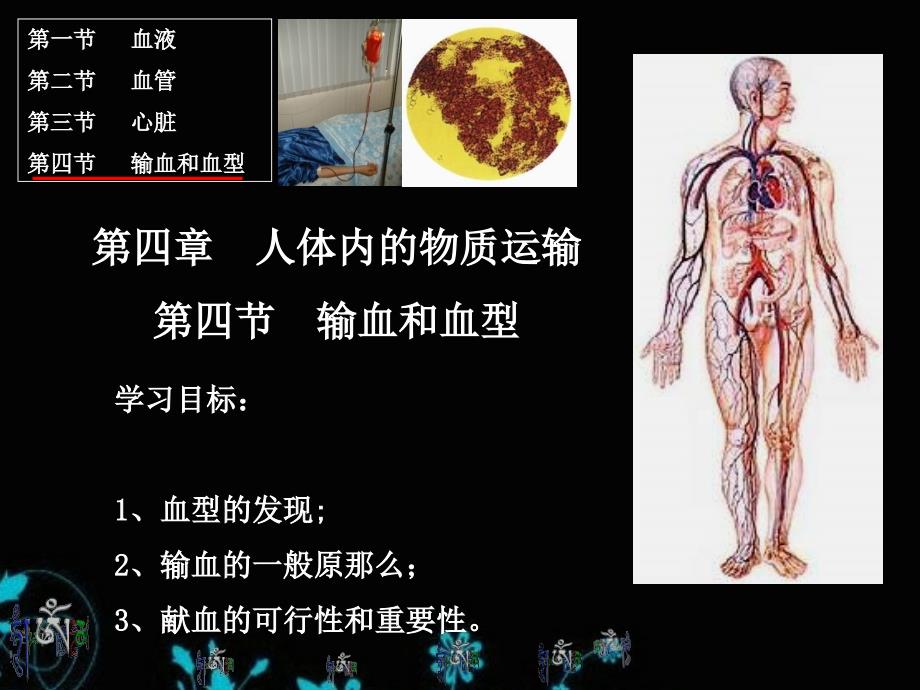 输血和血型人教七年级下册生物课件_第1页