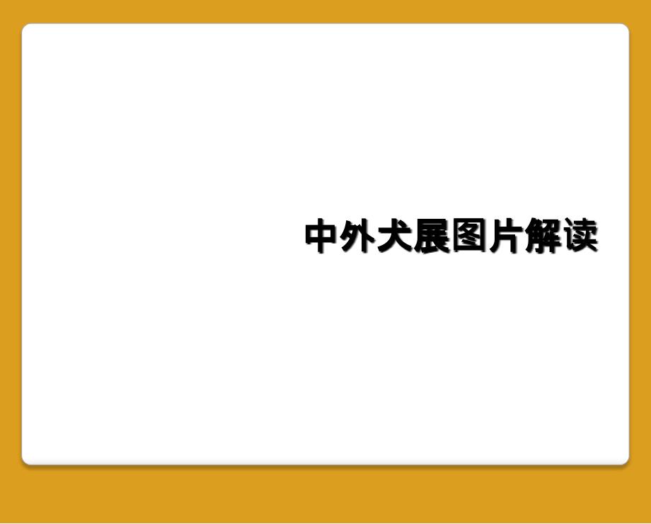 中外犬展图片解读_第1页