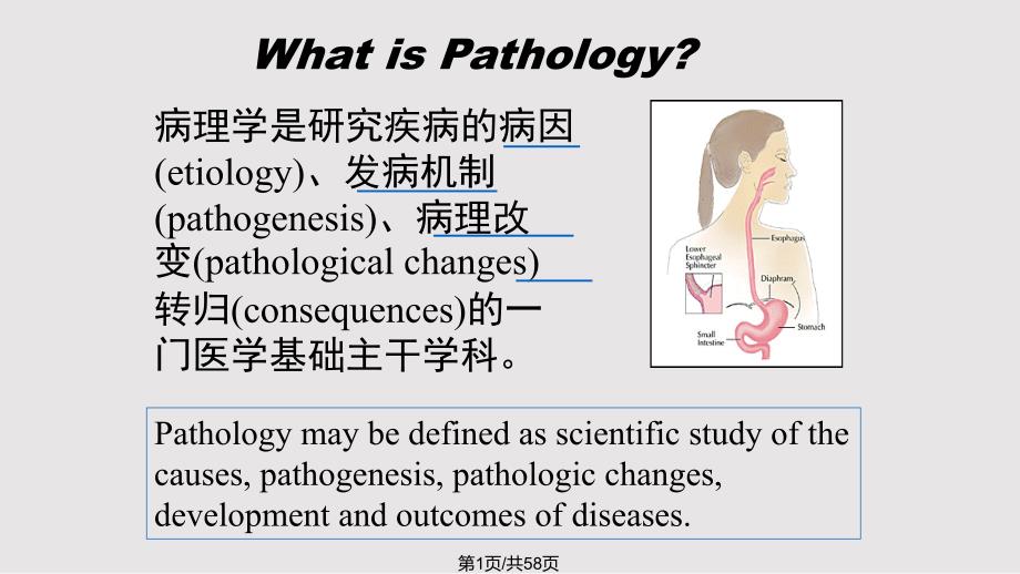 医学南方医科大学损伤病理_第1页