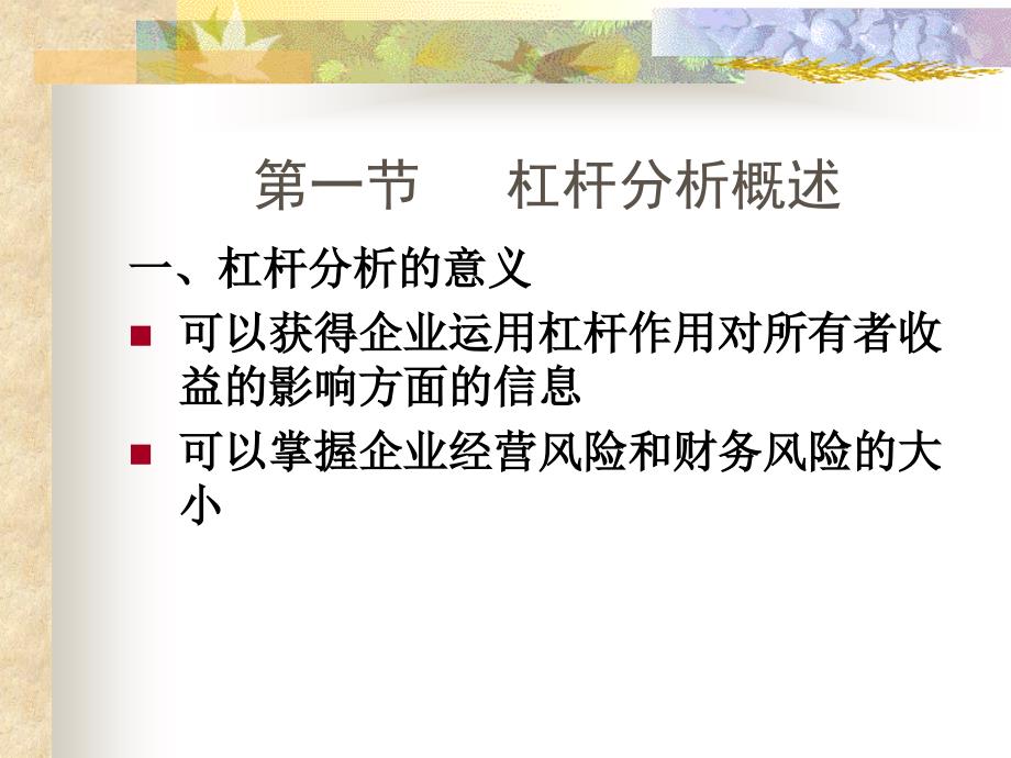 一节杠杆分析概述_第1页