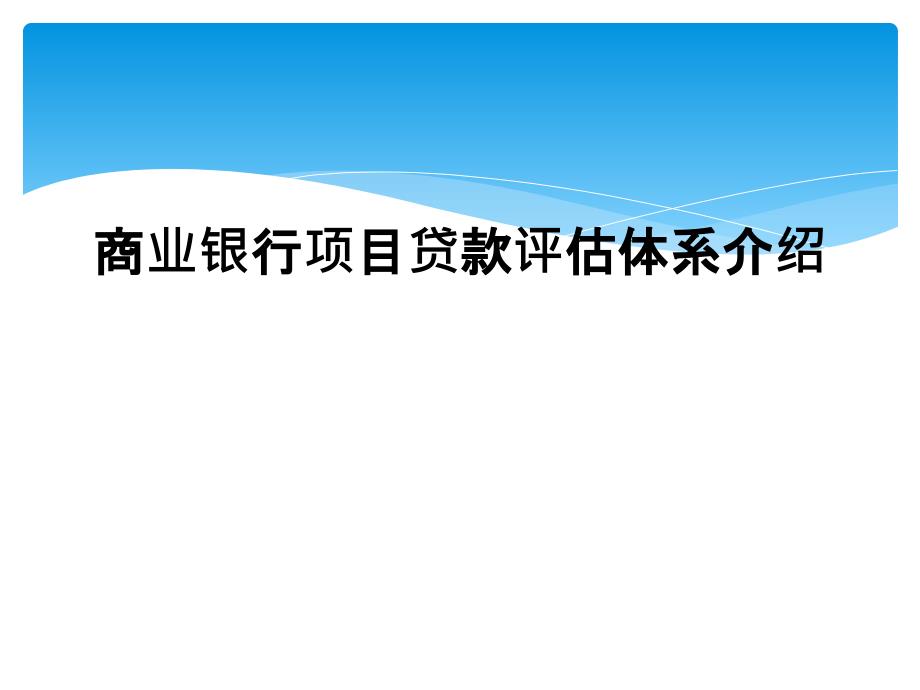 商业银行项目贷款评估体系介绍_第1页