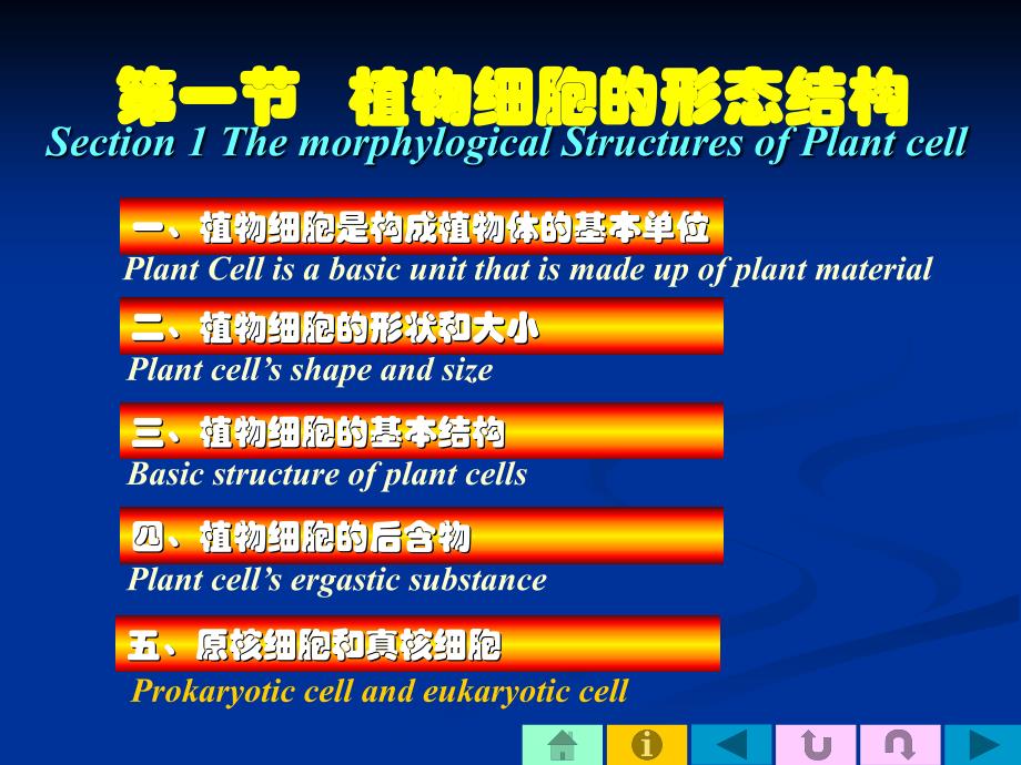 第一节植物细胞的形态结构_第1页