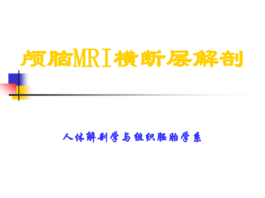 颅脑MRI横断层解剖PPT课件_第1页