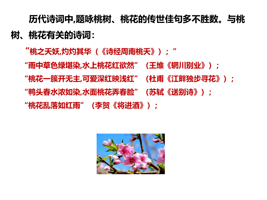 《一棵小桃树》课件_第1页