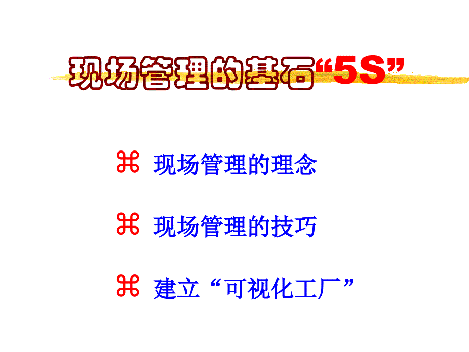 5S实用培训资料-2_第1页