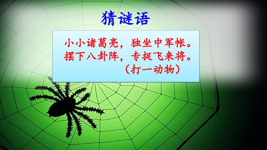《蜘蛛开店》_教学课件_第1页