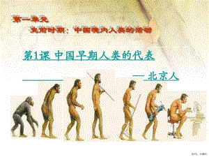 中国早期人类的代表——北京人教学课件人教版_4_2