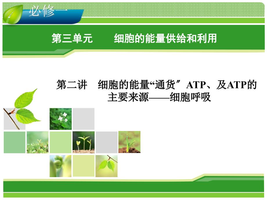 2014届高考生物一轮指导课件32ATP和细胞呼吸必修1_第1页