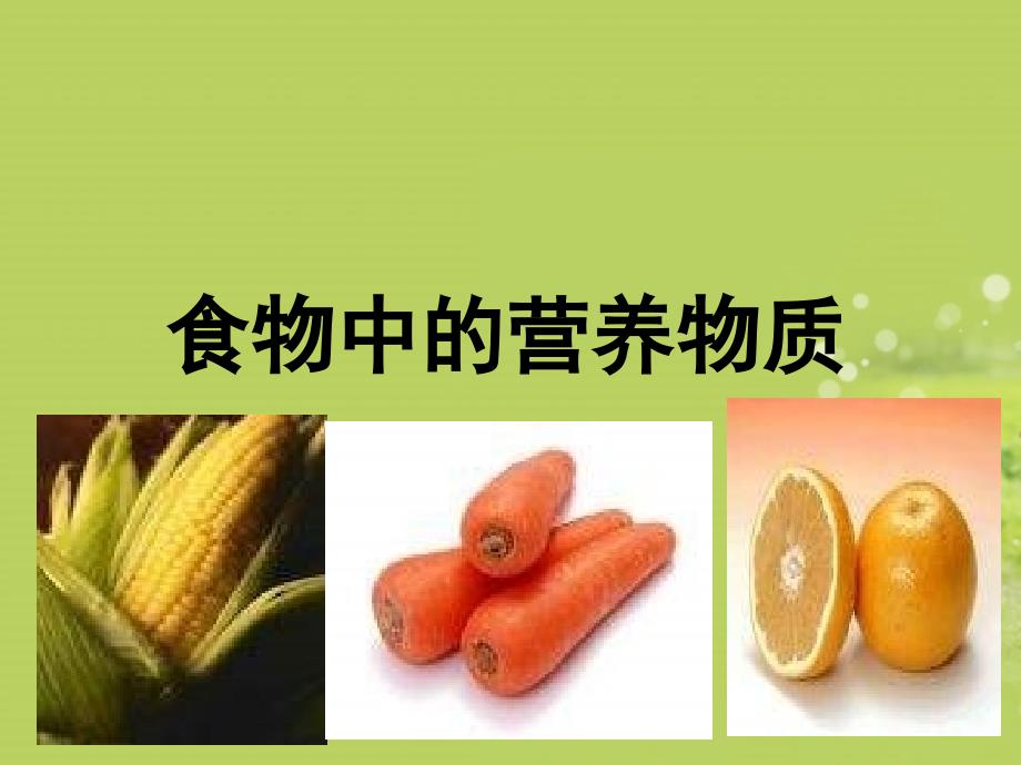 2013届中考生物查漏补缺复习专题十食物中的营养物质课件_第1页