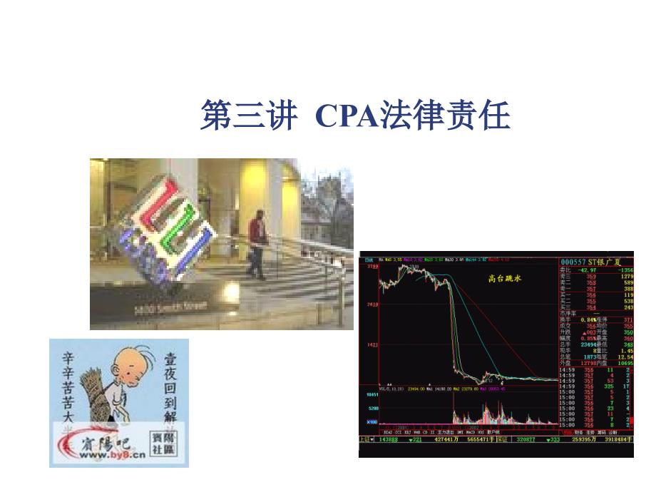 CPA法律责任培训课件_第1页