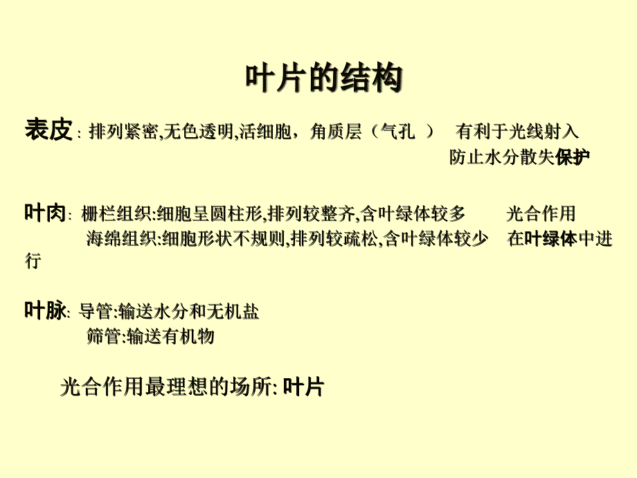 光合作用呼吸作用和蒸腾作用_第1页