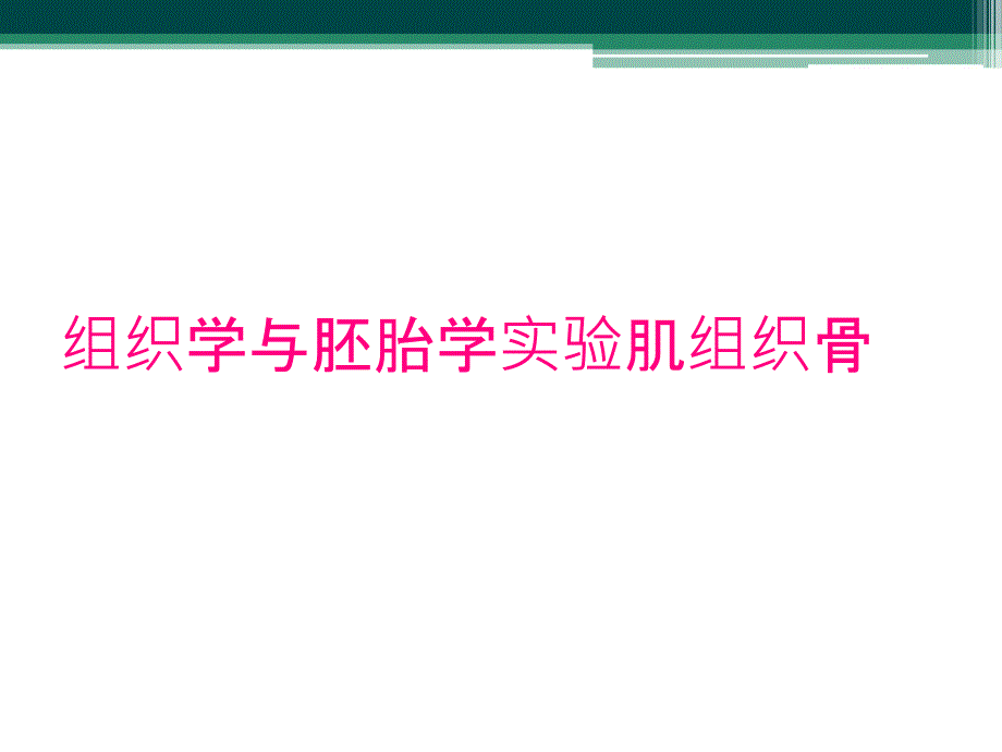 组织学与胚胎学实验肌组织骨_第1页