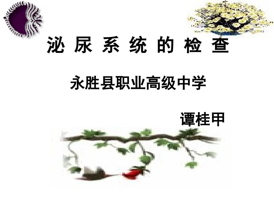 泌尿系统的检查_第1页