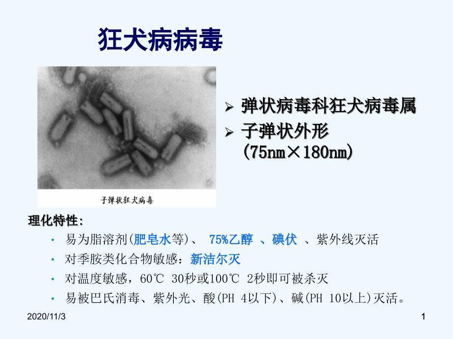 狂犬病基本知识和预防处置规范版_第1页