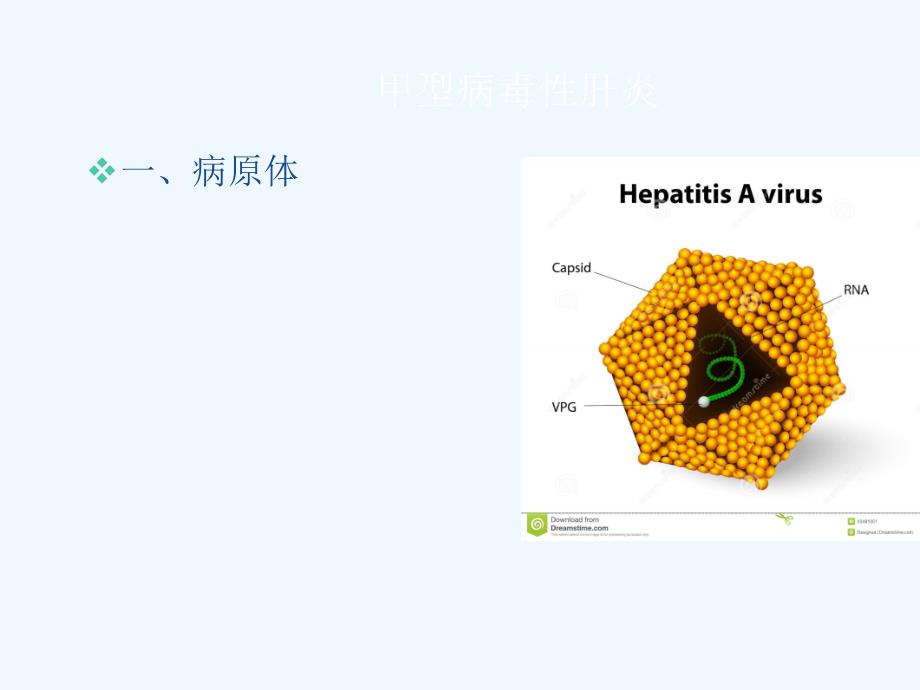 甲型病毒性肝炎护理ppt_第1页