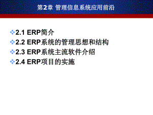 第二章ERP管理信息系统前沿课件