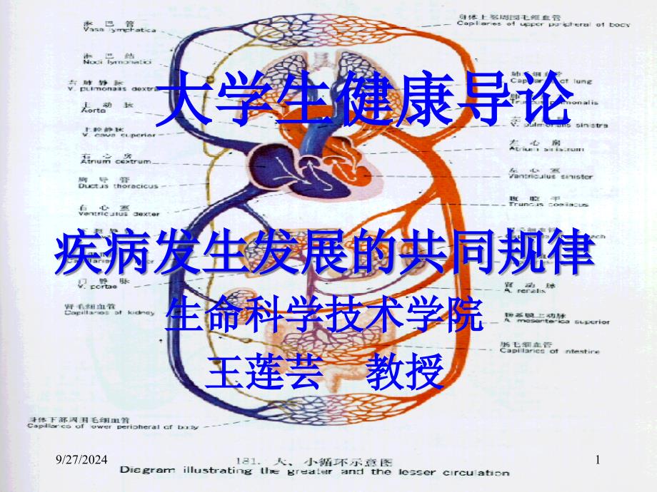 疾病发生的共同规律_第1页