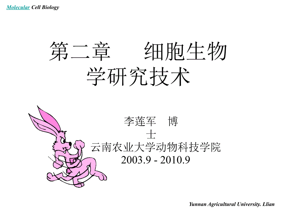 分子细胞生物学——细胞生物学研究技术_第1页