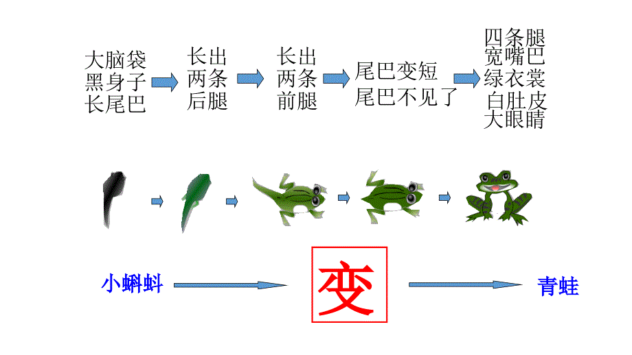 2018秋季统编二年级语文2我是什么PPT_第1页