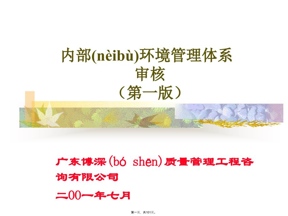 内部环境体系审核1资料讲解_第1页