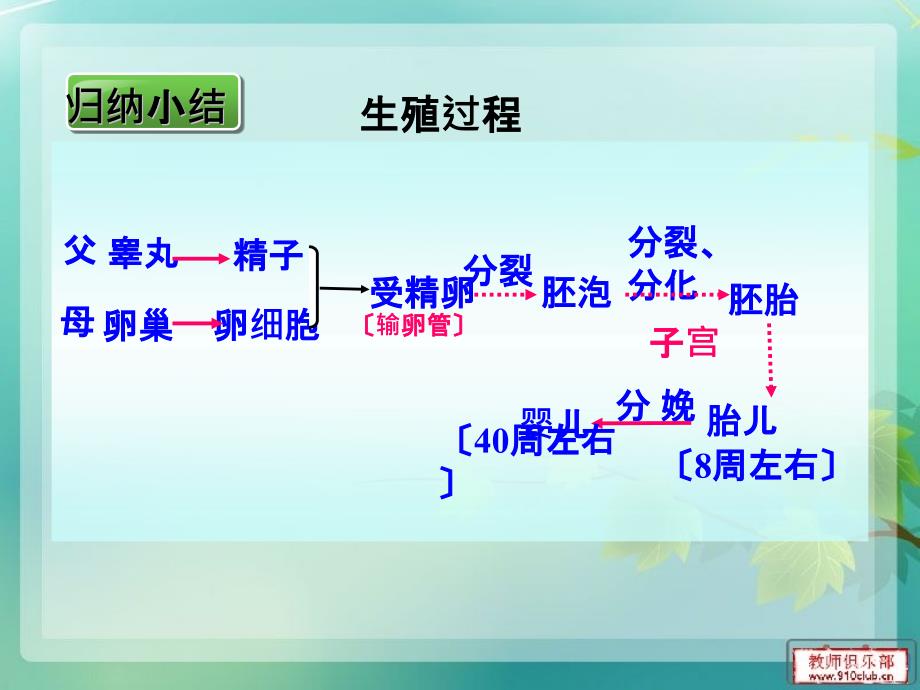 七年级下册生物青春期2016人教版_第1页