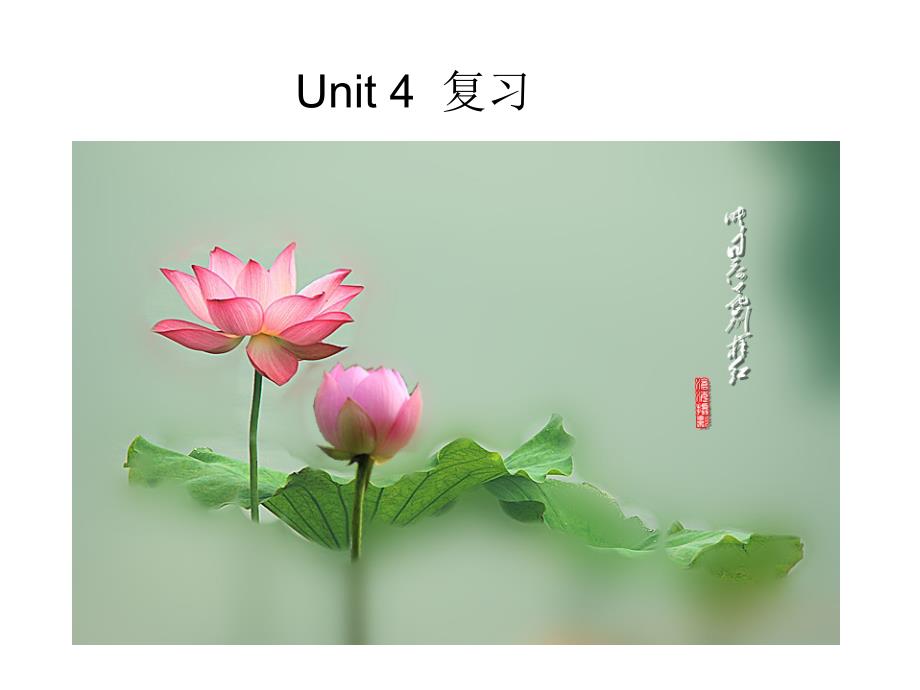 三年级英语下册unit4期末复习pep新教材正式版_第1页