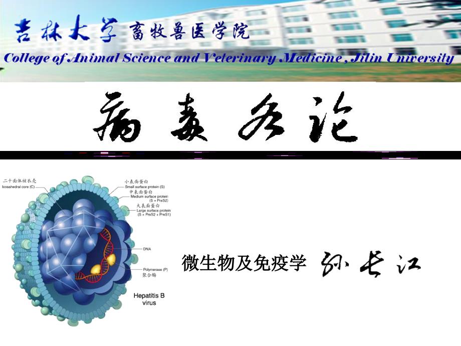 畜牧微生物学 畜牧微生物病毒学各论_第1页