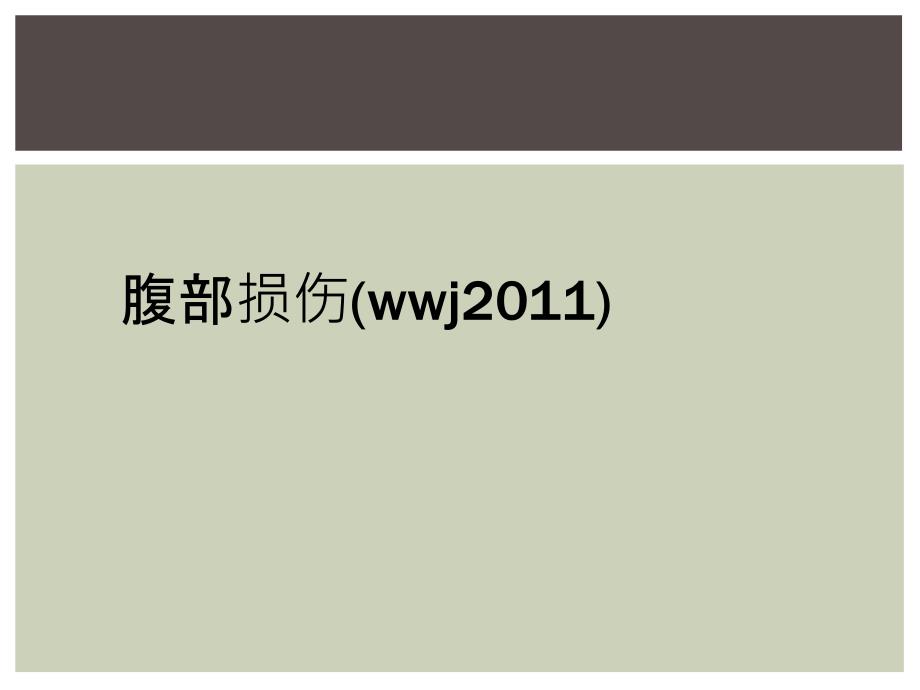 腹部损伤(wwj2011)_第1页