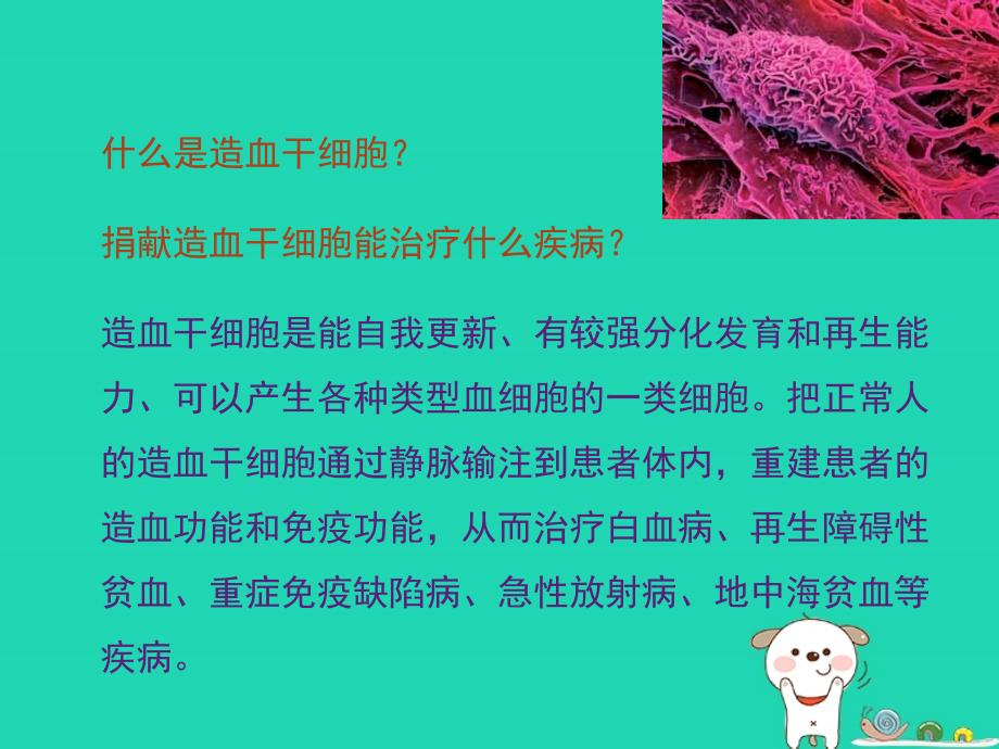 七年级生物下册441流动的组织血液点燃生命的希望造血干细胞的捐献素材新版新人教版_第1页