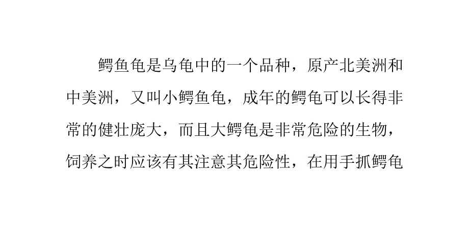 如何正确的用手抓鳄鱼龟_第1页