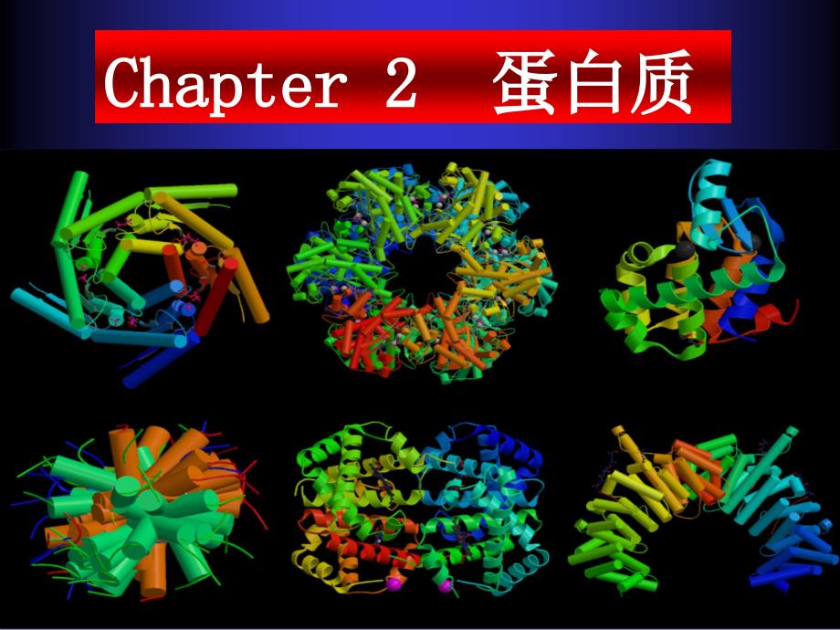 Chapter2蛋白质3蛋白质分离技术课件_第1页