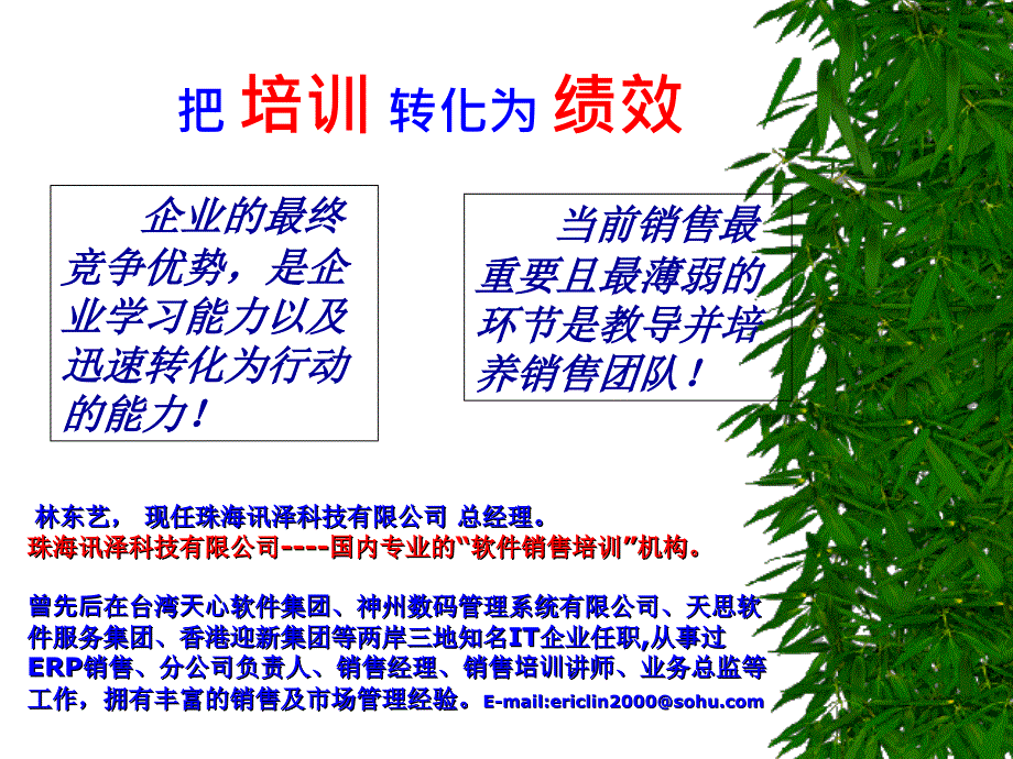 如何进行软件演示_第1页