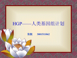 HGP——人类基因组计划