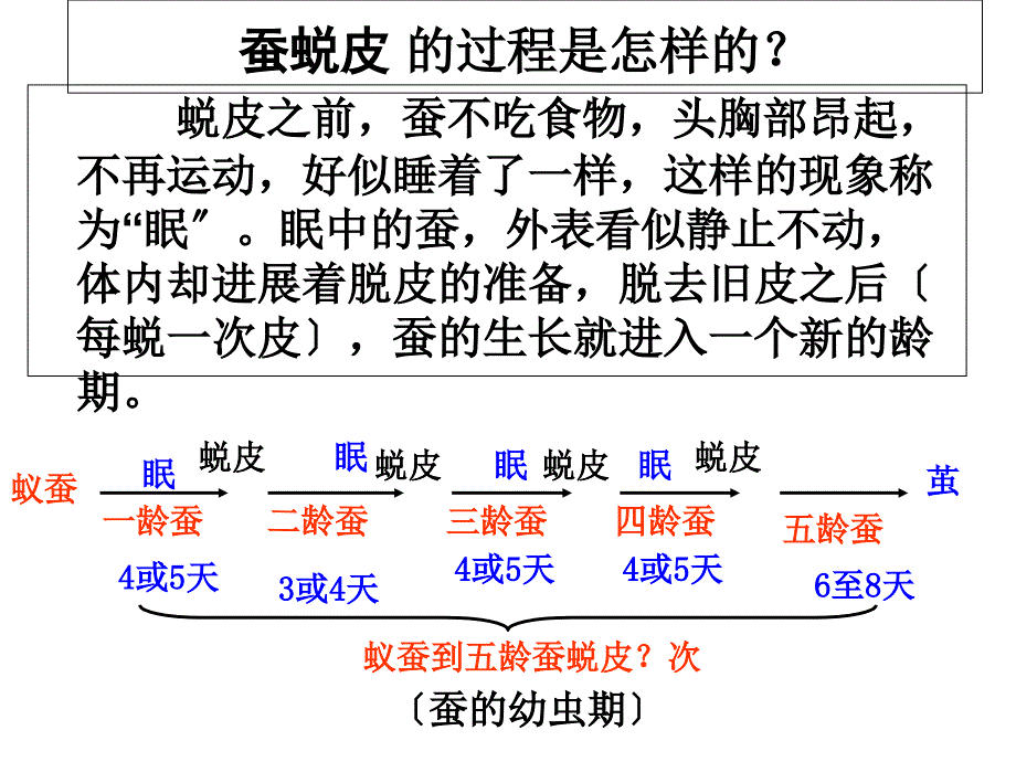 三年级科学下册蚕变了新模样2课件教科版_第1页