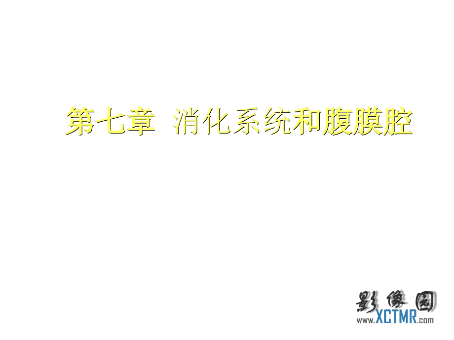 肝脏、胆系、胰腺与脾脏的影像诊断_第1页