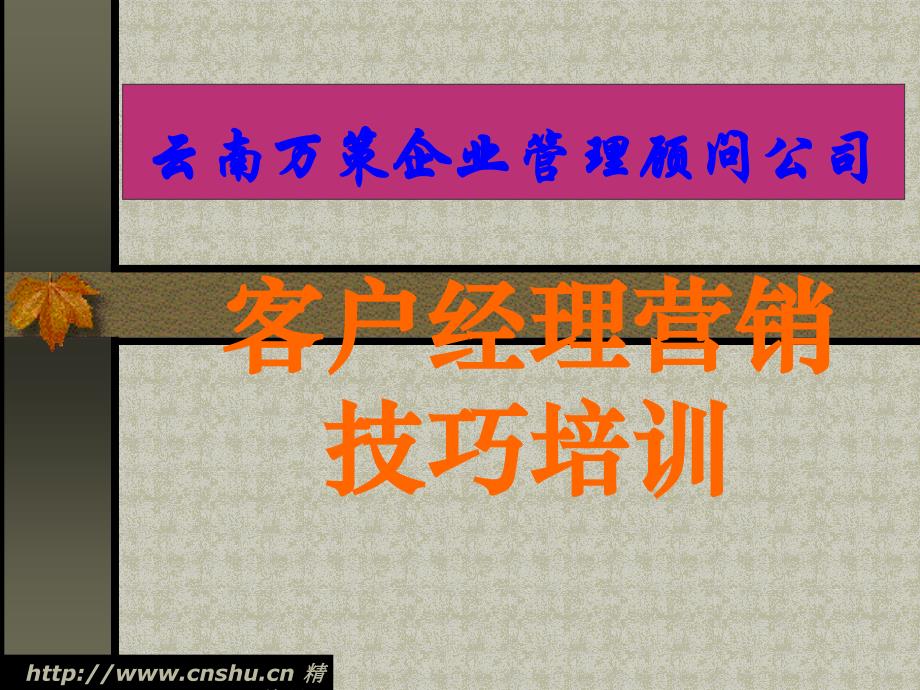 客户经理营销技巧与客户管理培训_第1页