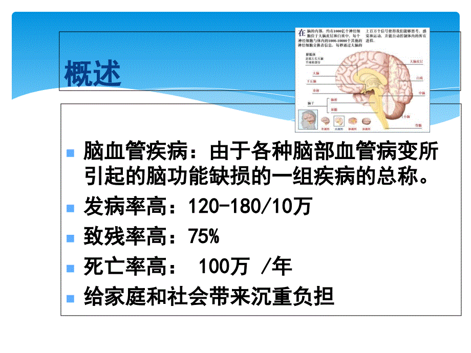 脑血管病1_第1页