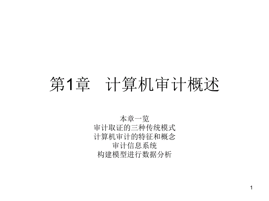 计算机审计详细概述_第1页