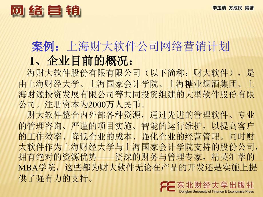 上海财大软件公司网络营销计划_第1页