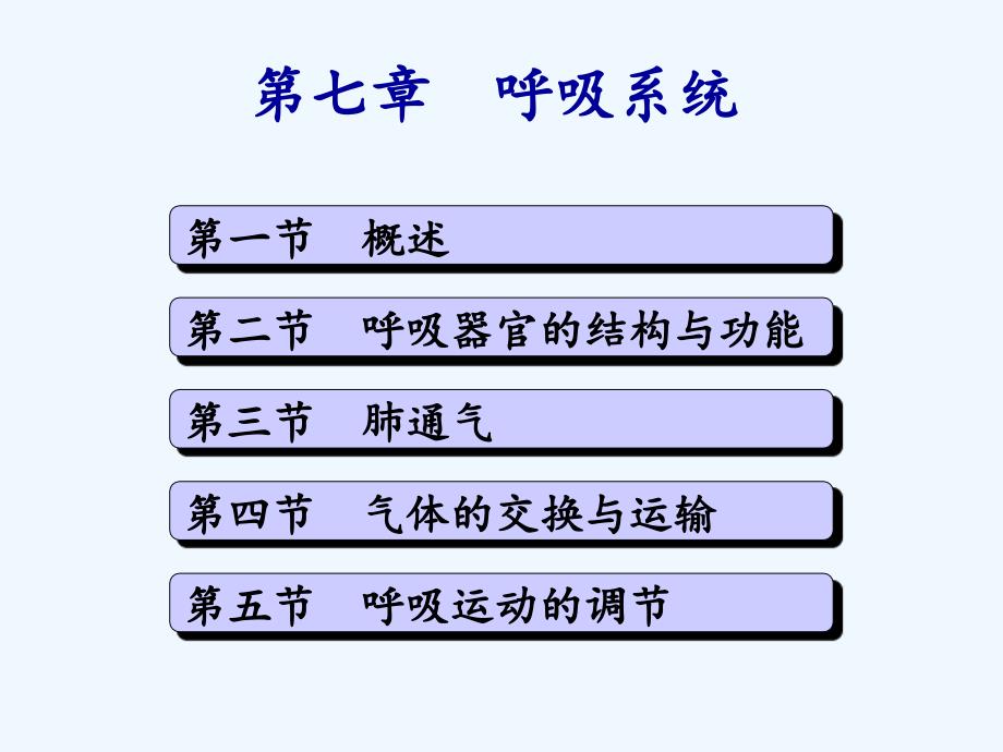 解剖生理学基础第七章呼吸系统_第1页