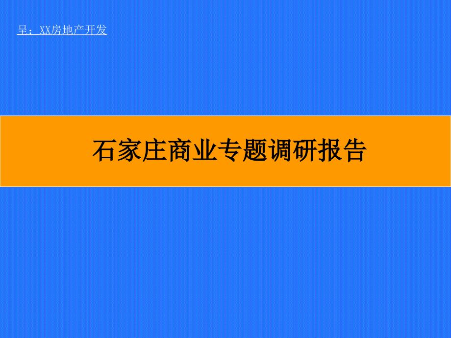 石家庄市商业市场商圈调研报告_第1页