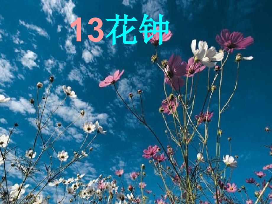 人教版三年级上册语文13花钟资料_第1页