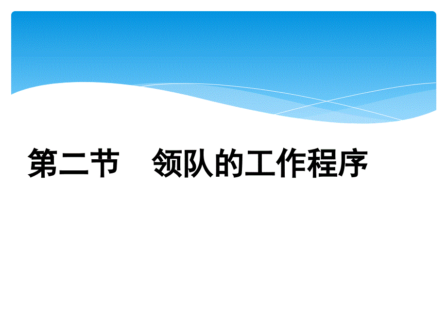 领队工作程序_第1页