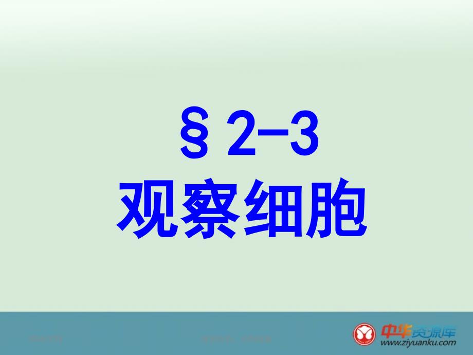 2013广州市白云区汇侨中学七年级上册生物课件：《观察植物、动物细胞》（人教版）_第1页