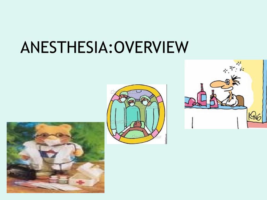 anesthesiaoverviewppt课件_第1页