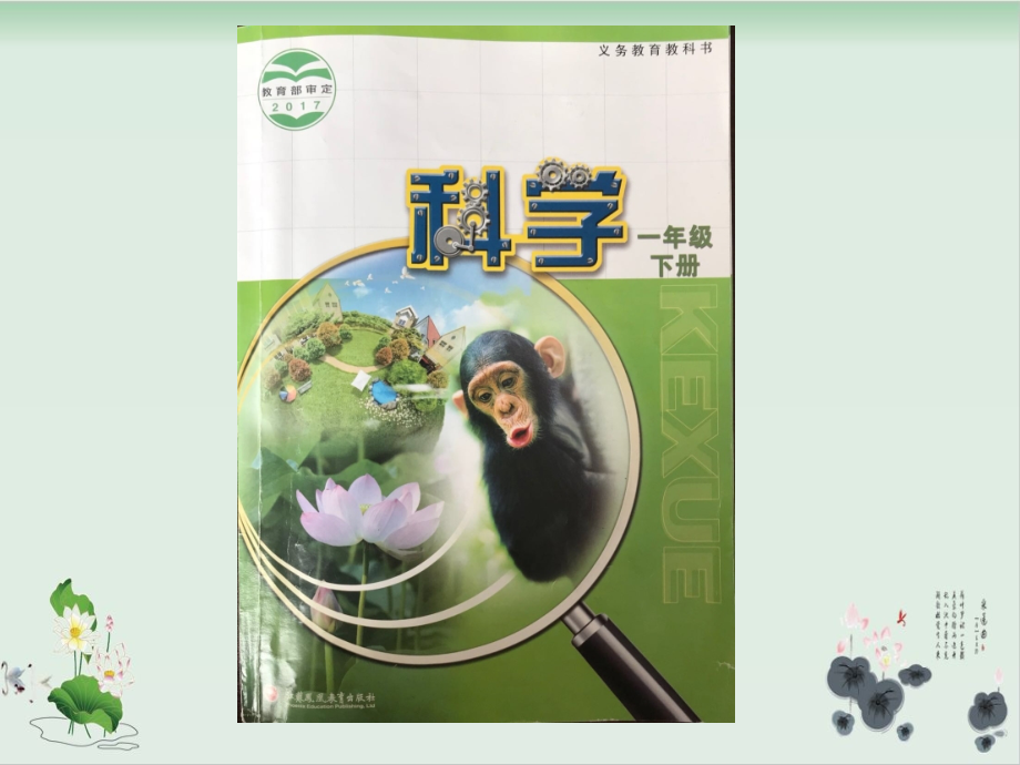 一年級下冊科學(xué)ppt課件：《-形形色色的動物》-蘇教版_第1頁